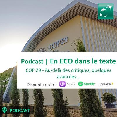 COP29 | Au delà des critiques, quelques avancées...