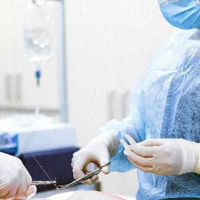 Katarzyna Michalak "Opus magnum"