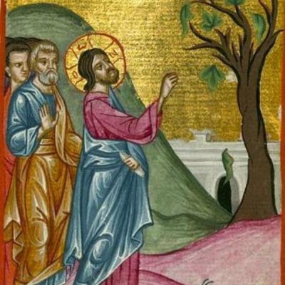 "If you can’t forgive, then come to Christ who gives His forgiveness" Wednesday of Trinity 22 2025