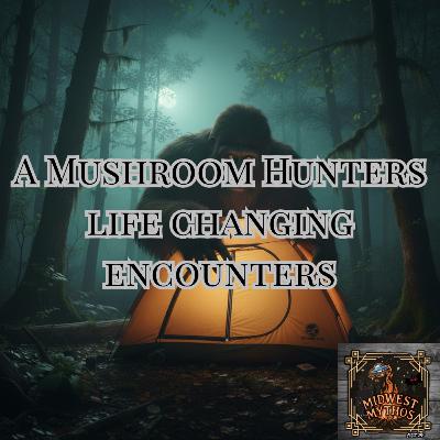 A Mushroom Hunters Life Changing Encounter A Mushroom Hunters Life Changing Encounter