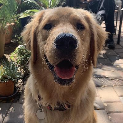 The Good Boy Podcast Episode 30 Toby