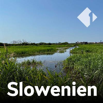 Renaturierung in Slowenien