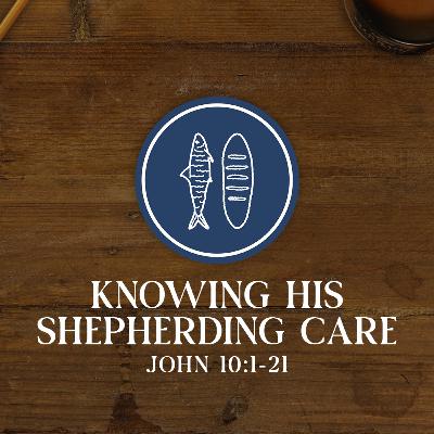 Knowing His Shepherding Care