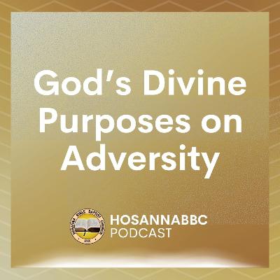 God’s Divine Purposes on Adversity - Rev. Provy R. Cadelina God’s Divine Purposes on Adversity - Rev. Provy R. Cadelina