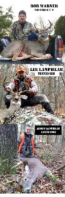 Rut Roundup No.6 HFJ No.181