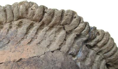 You Cannot Judge the Past by Today’s Standards You Cannot Judge the Past by Today’s Standards