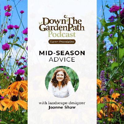 Mid-Season Advice Mid-Season Advice