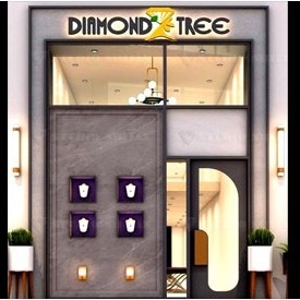 Diamond Fall Out of a Ring – Know The Truth Diamond Fall Out of a Ring – Know The Truth