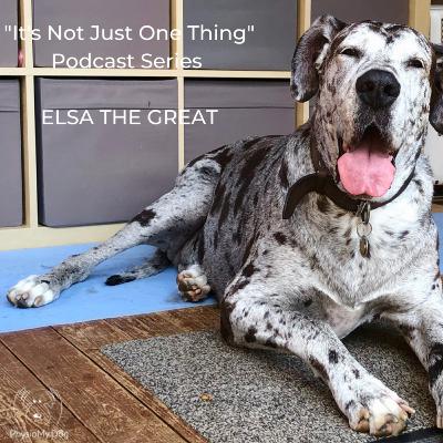 Series 2 - Ep 2 - Elsa The Great Dane & Her Wolf Dad - Part 1