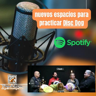 Nuevos espacios para practicar DiscDog