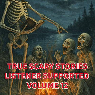 True Scary Stories Listener Supported Volume 12