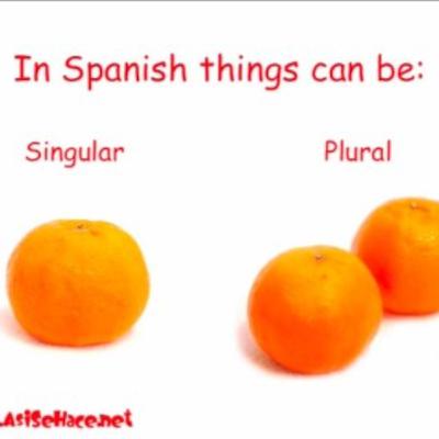 Singular and Plural in Spanish