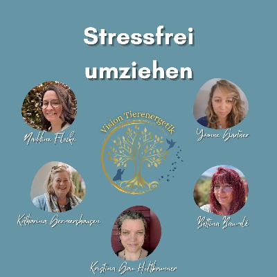 No. 25 Stressfrei umziehen No. 25 Stressfrei umziehen