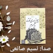 کتاب صوتی چهل نامه کوتاه به همسرم - نسیم صانعی cover