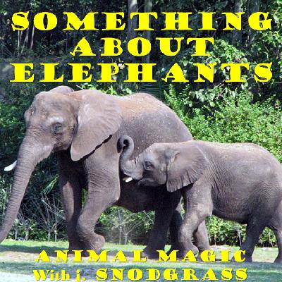 Something About Elephants