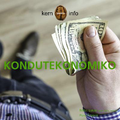 KP221 Kondutekonomiko