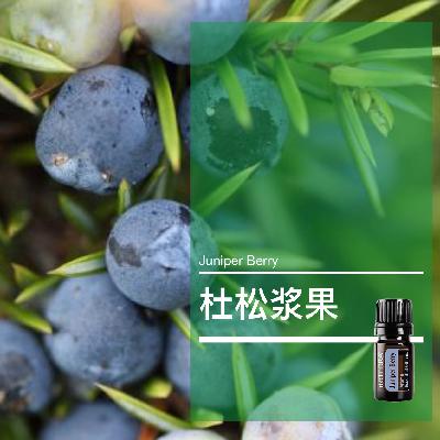 第四十三课：杜松浆果