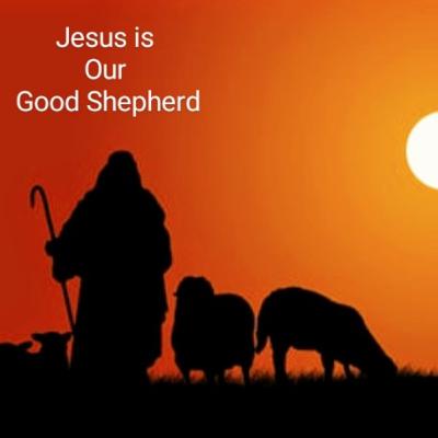 Our Good Shepherd...