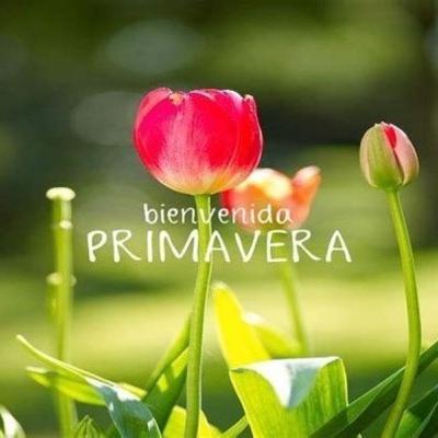 Día de la Primvera