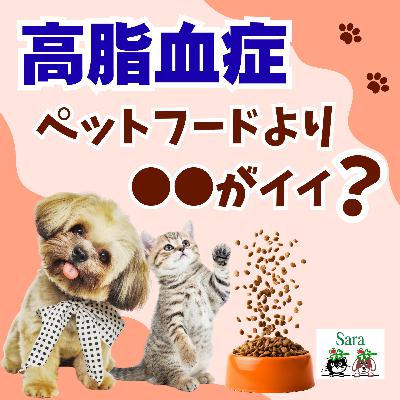 #1127. 最新情報：高脂血症（コレステロール）にペットフードより●●がイイ❓