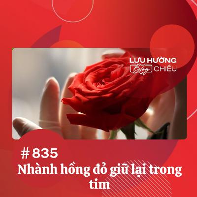 Nhành hồng đỏ giữ lại trong tim | Lưu Hường blog chiều | Đài Hà Nội
