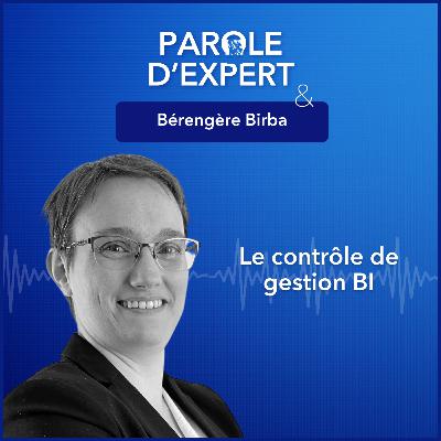 Maîtriser le contrôle de gestion BI