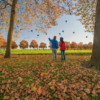 Bird Watching In the Southeast 11 Enjoy With a Partner