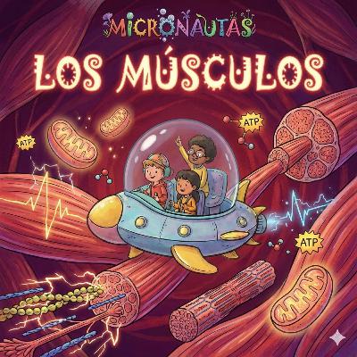 Los músculos: tus 600 motores