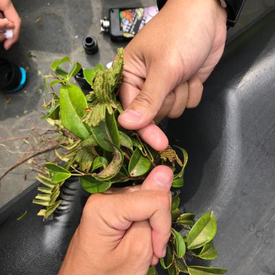 Ngobrolin diare dan hantu sama-sama harus dikeluarin