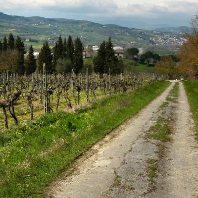 Czy rośniesz dzięki wspólnocie? - czytany artykuł - Czy rośniesz dzięki wspólnocie? - czytany artykuł -