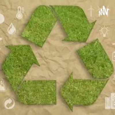 EL CUIDADO DE LA SALUD EN ARMONÍA CON EL AMBIENTE