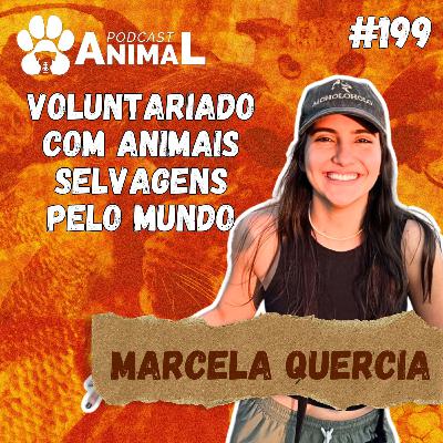 PODCAST ANIMALS 199 - VOLUNTARIADO COM ANIMAIS SELVAGENS PELO MUNDO COM MARCELA QUÉRCIA PODCAST ANIMALS 199 - VOLUNTARIADO COM ANIMAIS SELVAGENS PELO MUNDO COM MARCELA QUÉRCIA