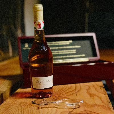 Hungarian Wine, Reading Hungarian Wine, Reading