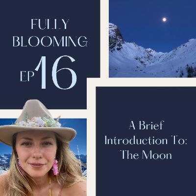 16 - A Brief Introduction To The Moon