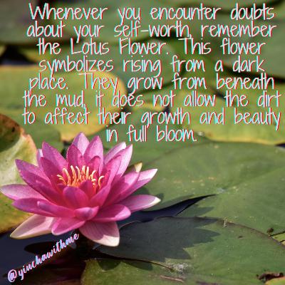 Episode 42: Lotus Flower (from muddy waters, beauty blooms)