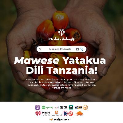 Mawese Yatakua Dili Tanzania Mawese Yatakua Dili Tanzania