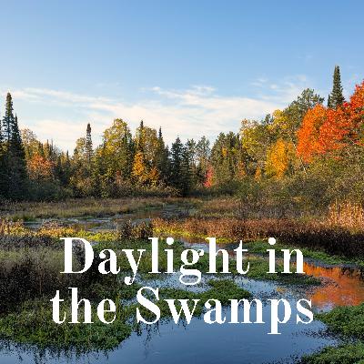 Daylight in the Swamps Episode 1: All things ODHA with Ned Haas