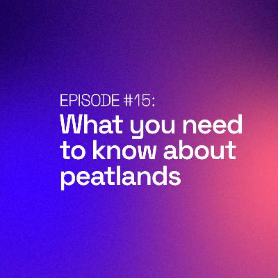 What you need to know about peatlands