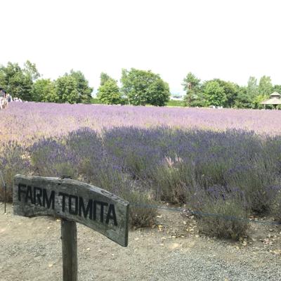 #131 プロポーズ大作戦