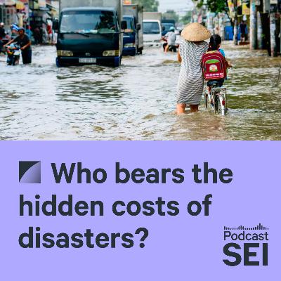 Who bears the hidden costs of disasters
