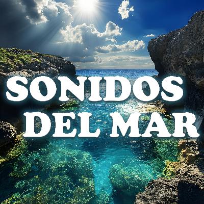Olas Relajantes para una Meditación Placentera