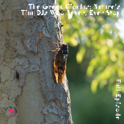 The Greek Cicadas: Nature’s Tiny DJs Who Never, Ever Stop