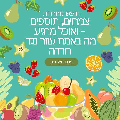 פרק 48: תוספים ואוכל מרגיע – מה באמת עוזר נגד חרדה