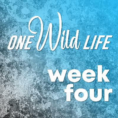 S1E3 Thalassa: opbouwen van vriendschappen en het vrije Freelance bestaan S1E3 Thalassa: opbouwen van vriendschappen en het vrije Freelance bestaan