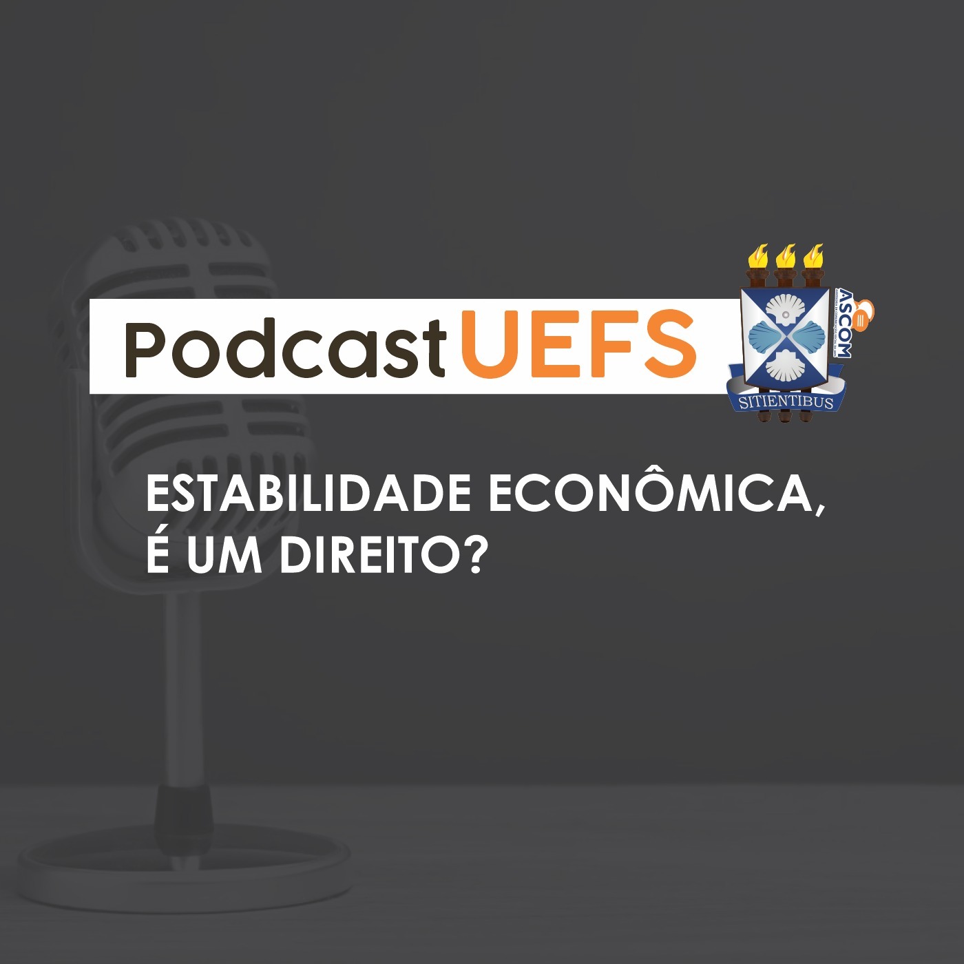 ESTABILIDADE ECONÔMICA É UM DIREITO?