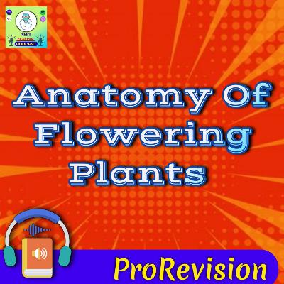 Anatomy Of Flowering Plants