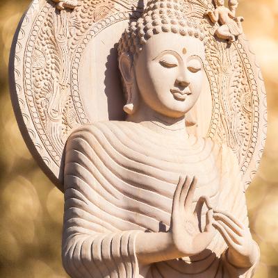 Ep. 518 Riflessioni su sensazioni e pensieri