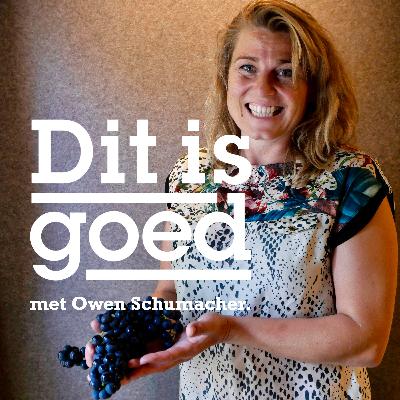 Waarom Nederlandse wijngaarden vol staan met déze druiven