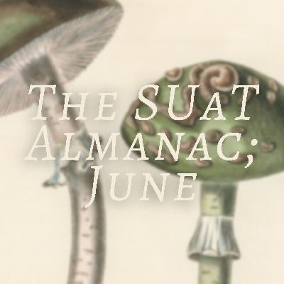 Saint John's Feast, Rusal'naia, Herbal Magics, and June Tidings; The Sat Upon a Toadstool Almanac — June