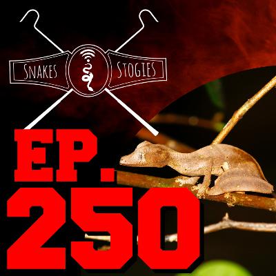 Gage Smith of LP Herpetoculture | Snakes & Stogies Ep. 250